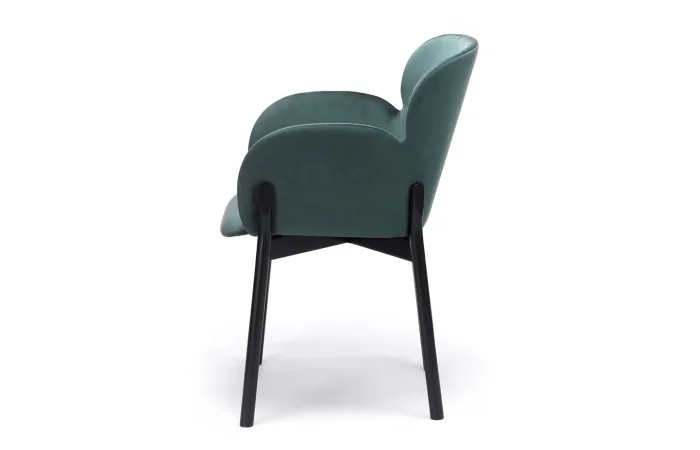 Ginger 37 armchair 3