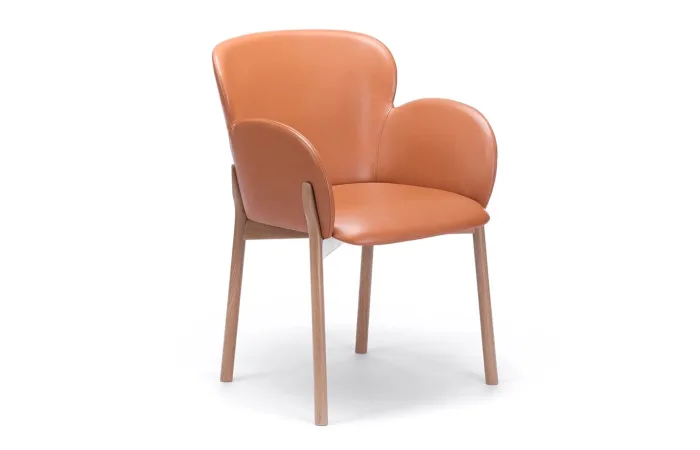 Ginger 37 armchair 4