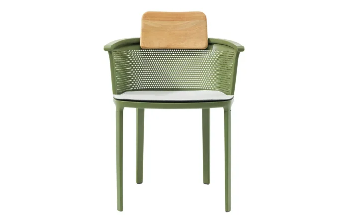 Nicolette Dining Armchair with Cushion