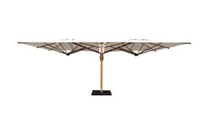 Fab-C-U5536